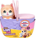 Little-Live-Pets-Mama-Surprise-Kittens-Playset Sale
