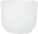 Kentia-Palm-in-Dotty-310mm-x-260mm-Large-Round-Ceramic-Pot-in-White Sale