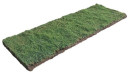 TifTuf-Bermuda-Couch-Turf-Slab Sale