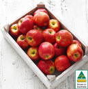 Australian-Pink-Lady-Apples Sale
