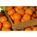 Australian-Seedless-Amorette-Mandarins Sale