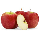 Australian-Pink-Lady-Apples Sale