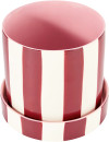 Burgundy-Stripe-Ceramic-Pot-with-Saucer Sale