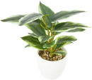 Artificial-Leopard-Lily-Plant-in-Palm-Pot Sale
