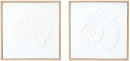 2-Pack-Shell-Framed-Canvas-40cm-x-40cm Sale