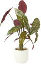 Artificial-Spotted-Plant-in-Pot Sale