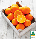 Australian-Navel-Oranges Sale