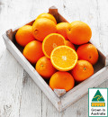 Australian-Navel-Oranges Sale