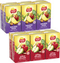 Golden-Circle-Tetra-Fruit-Drink-6x250mL Sale