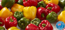 Australian-Red-Green-or-Yellow-Capsicums Sale