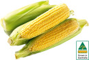 Australian-Sweet-Corn-500g-Pack Sale