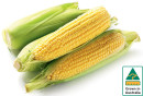 Australian-Sweet-Corn-500g-Pack Sale