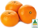 Australian-Mandarins Sale