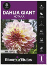 Bloomin-Bulbs-Dahlia-Kotara-Tuber Sale