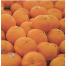 Australian-Tangold-Seedless-Mandarins Sale