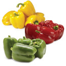 Australian-Red-Yellow-or-Green-Capsicums Sale