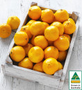 Australian-Mandarins Sale