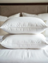 Royal-Comfort-Duck-Feather-and-Down-Pillows-2pk Sale
