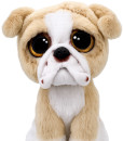 TY-8-Pooch-Tan-English-Bulldog Sale