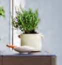 Astin-Sinclair-180-x-140mm-Cream-Ear-Pot Sale