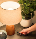 Otto-Grove-Wooden-Desk-Lamp Sale