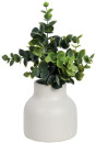 Otto-Mini-Plant-Leaf Sale