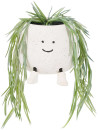 Otto-Trailing-Plant-Tiny-Human-Green Sale
