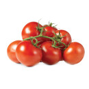Australian-Truss-Tomatoes Sale