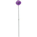Green-Gardener-Metal-Poppy-or-Gardman-Ceramic-Watering-Spiker Sale