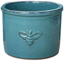Marguerite-Daisy-in-Northcote-Pottery-Bee-26cm-Planter-in-Forest-Green Sale
