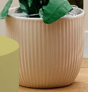 Nemesia-in-Northcote-Pottery-Numi-95cm-x-8cm-Ceramic-Pot-in-Jade-Extra-Small Sale