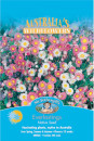 Mr-Fothergills-Everlastings-Native-Flower-Seeds Sale