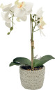 Un-Real-38cm-Artificial-Orchid-Flowers-in-Decor-Pot-in-White Sale