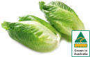 Australian-Baby-Cos-Lettuce-Twin-Pack Sale