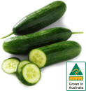 Australian-Lebanese-Cucumber Sale