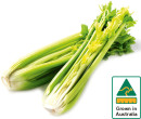 Australian-Celery-Bunch Sale