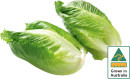 Australian-Baby-Cos-Lettuce-Twin-Pack Sale
