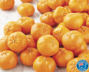 Australian-Murcott-Mandarins Sale