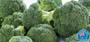 Australian-Broccoli Sale
