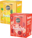 Remedy-Sodaly-4x250mL Sale
