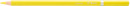 Born-Premium-Colour-Pencil-Yellow Sale