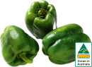 Australian-Green-Capsicum Sale
