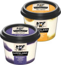 Gippsland-Dairy-Yogurt-700g-Selected-Varieties Sale