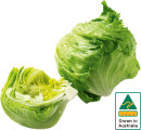 Australian-Iceberg-Lettuce Sale