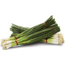 Australian-Spring-Onion-Bunch Sale