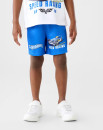 Hot-Wheels-License-Mesh-Shorts Sale