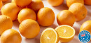 Australian-Navel-Oranges Sale