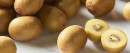 Gold-Kiwifruit Sale