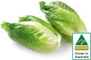 Australian-Baby-Cos-Lettuce-Twin-Pack Sale