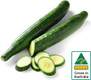 Australian-Continental-Cucumber Sale